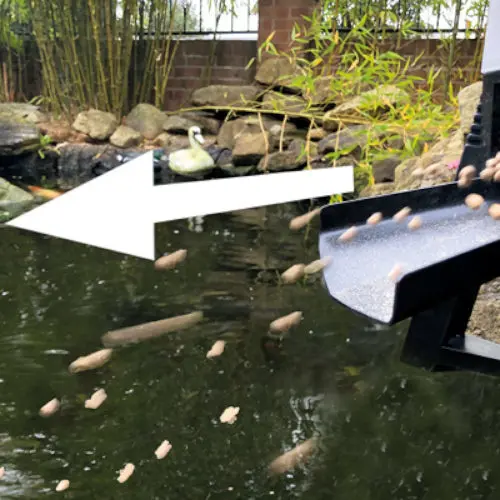 PondXpert Foodflinger Solar Automatic Fish Feeder 2