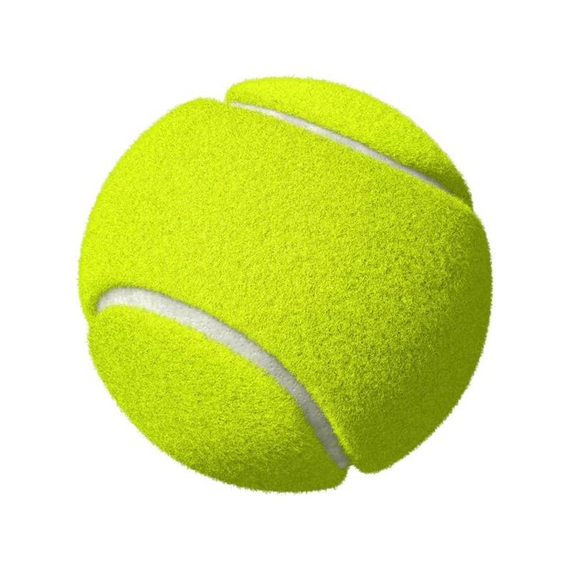 Pet Touch 46cm Long Dog Ball Launcher for Dogs with 10 Tennis BALLS Dog Toys Dog Balls Thrower Tennis Balls for Dogs Strong Grip Pick Up Throw 3