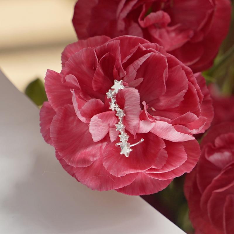 Sterling Silver CZ Celestial Stars Ear Pin Crawler Climber Earrings 6