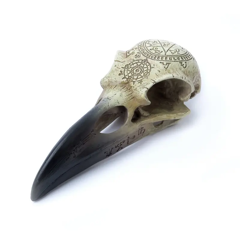 Alchemy - The Vault Omega Raven Skull 1