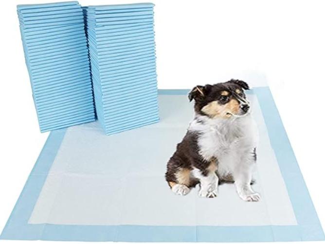 Bargain Factory - Pet Potty Training Pads for Dogs Puppy Pads - 5 Layers Super-Absorbent Waterproof - 56 x 56 cm - Disposable Puppy Pee Pads (Pack of100) pet  pad pet  pad 4
