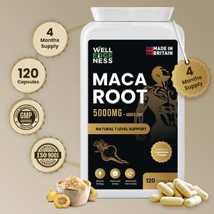 Maca Root 5000mg with Zinc, 120 Vegan Capsules | High Strength Natural Supplement for Energy, Vitality & Wellness by WELLEDGENESS