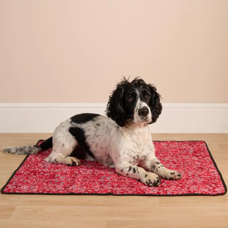 OHS Pet Dog Cat Cooling Gel Mat Bed Resting Pad 5