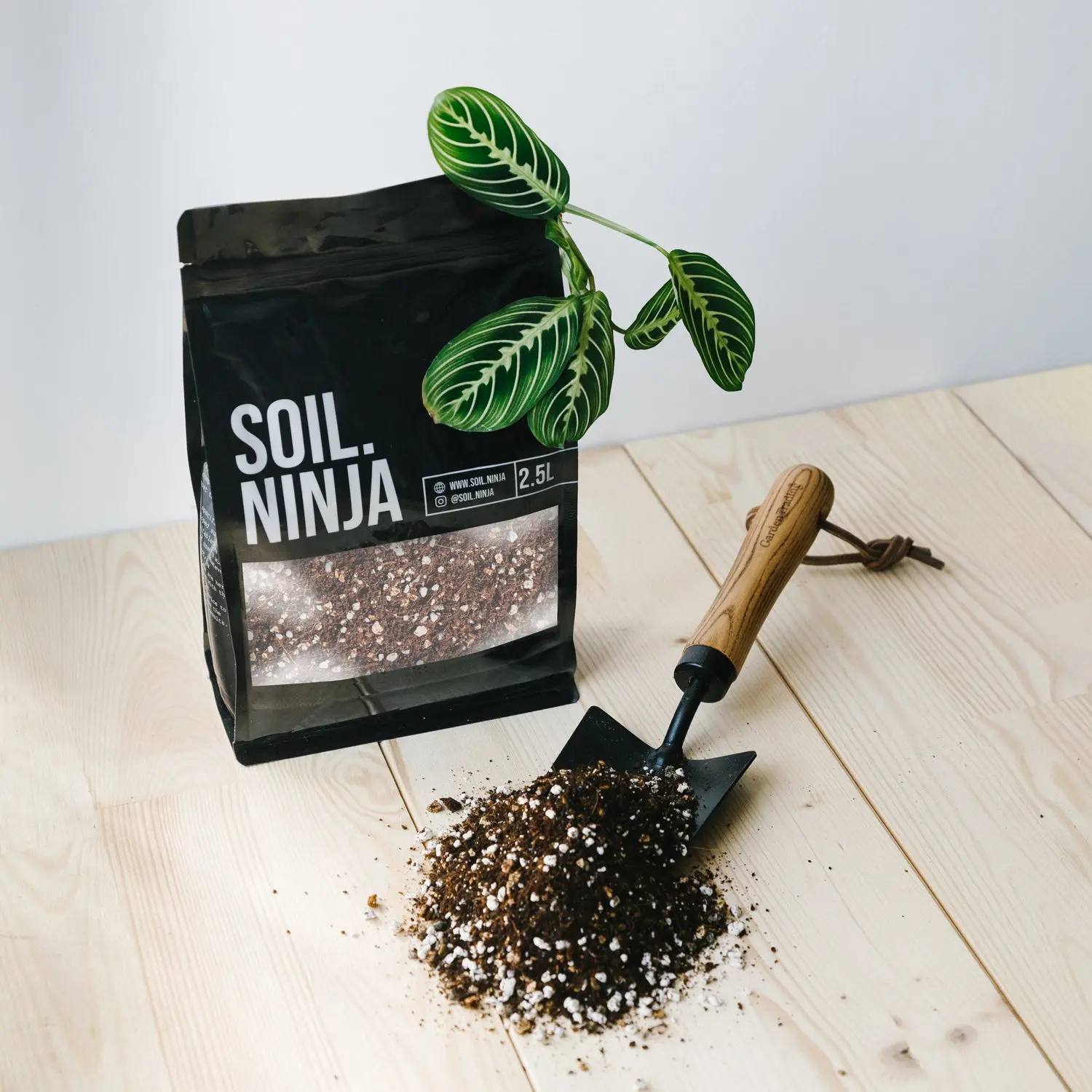 Premium Calathea & Maranta Potting Mix for Indoor Plants - 100% Peat Free - Natural Source of Nutrients, Bioactive Formula, 5 Star Rated Houseplant Soil - Made in the UK
