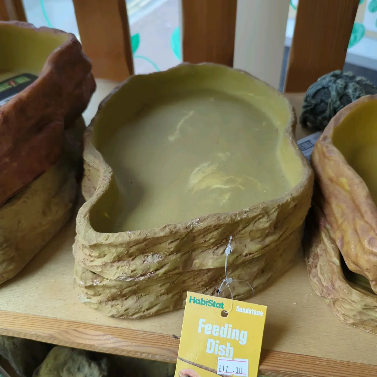 Reptile feeding dish