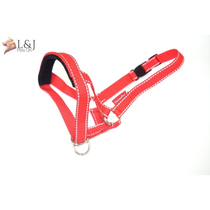 Reflective Padded Head Collar | Dog Training Halter Stops Dog Pulling Behaviour | Outdoor Hi-vis | Large, Small Dogs | Champion 7