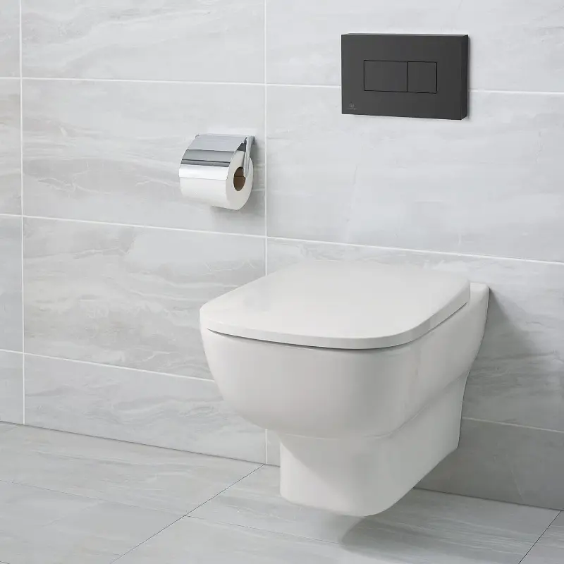 Solea P2 Pneumatic Toilet Flush Plate, R0110A6, Black 3