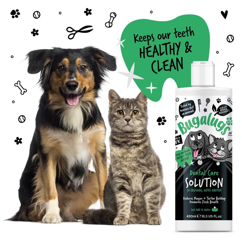 Bugalugs Dental Care Solution for Dogs & Cats - Dental Water Additive, Clean Teeth, Healthy Gums & Fresh Breath - No brushing needed 7
