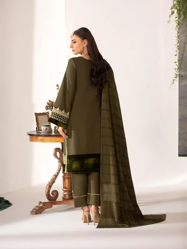 HEERA'S 3 PIECE SUIT DHANAK VELVET EMBROIDERED SUIT 4