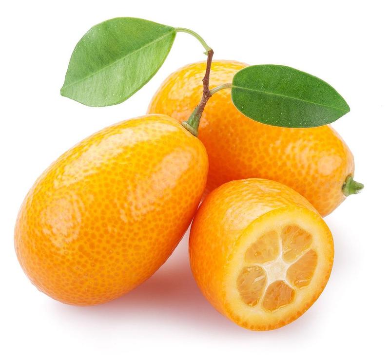 Kumquat - Tangy Citrus Fruits - My Exotic Fruit 0