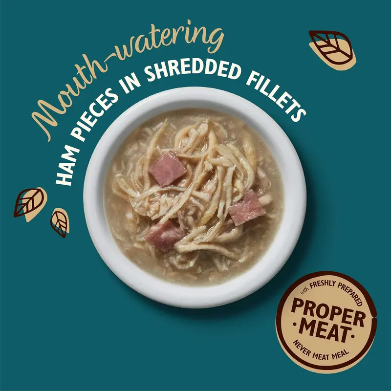 Lily's Kitchen Shredded Fillets Multipack - Grain Free Natural Adult Wet Cat Food - Chicken, Chicken & Mussels, Chicken & Ham, Tuna & Salmon (16 Tins x 70 g) 4