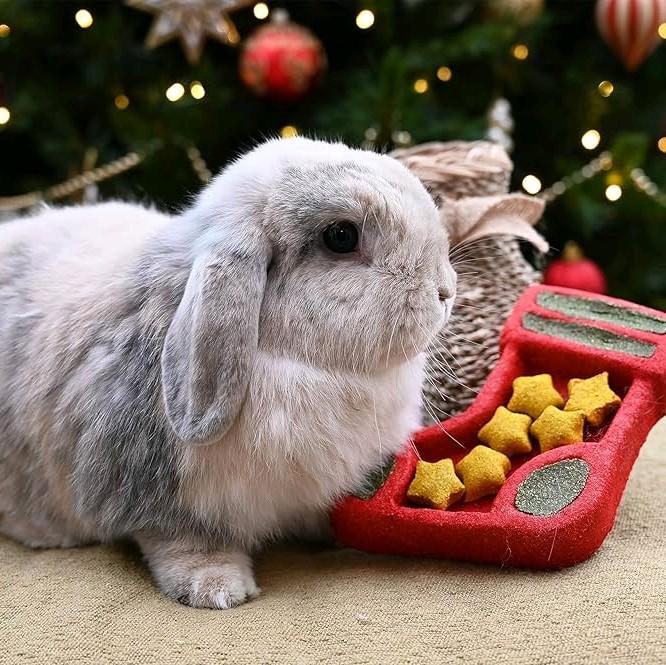 Christmas Stocking Puzzle Gift for Small Pets | Perfect for Rabbits, Guinea Pigs, Gerbils, Hamsters, Rats, Mice, Chinchillas & Degus | Pet Safe, Refillable, Treats Included 4