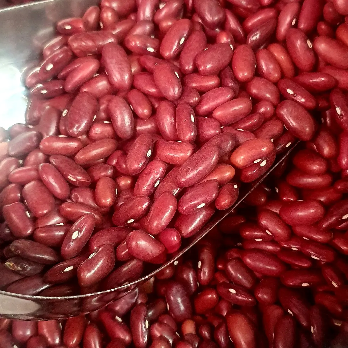 Red Beans Afghani / Lubya Afghani - 1 Kilo