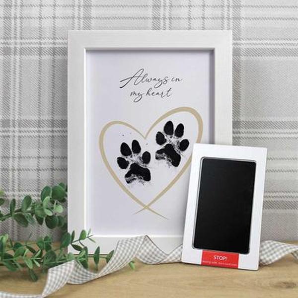 Framed Pet Paw Print Keepsake With Ink Kit Christening & Gifts Decor Photo 1
