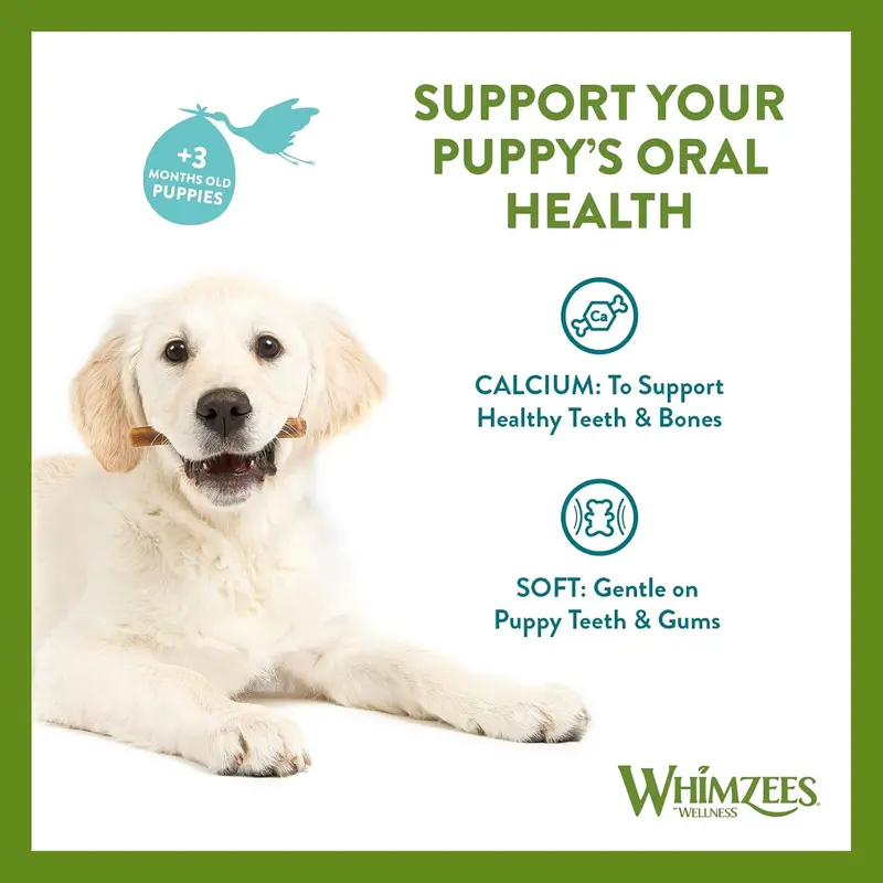 WHIMZEES By Wellness Puppy Stix, Dog Dental Stix for Puppies, 28 Pieces, Size XS/S, Puppy Chews, Natural, Grain-Free, Rawhide-Free, Vegetarian, No Added Sugar 2