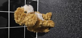Product Review of Steiff Classic Ricky Cockapoo premium plush soft toy from r**e 1