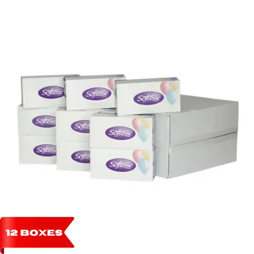 12 Boxes Ultra Soft Luxurious Facial Family Tissue 2 Ply Disposable