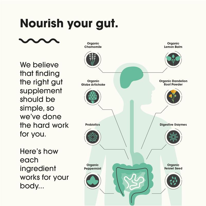 Gut 3-in-1 Supplement. Made For Gut Health & Bloating. 12 Billion Probiotics, 5x Digestive Enzymes & 6x Organic Botanicals. Vegan, Made in the UK, No Fillers Or Bulking Agents, Gluten Free, GMO Free, Dairy Free, Nut Free. Healthcare Dietary 3