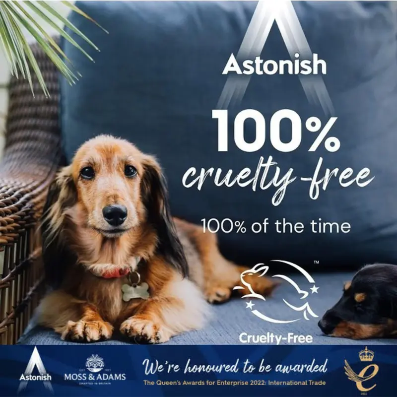 Astonish All In 1 Powerful Cleaning Dishwasher Tablets with Salt and Rinse Aid, Pack of 42 Tablets, Lemon Fresh Household 5