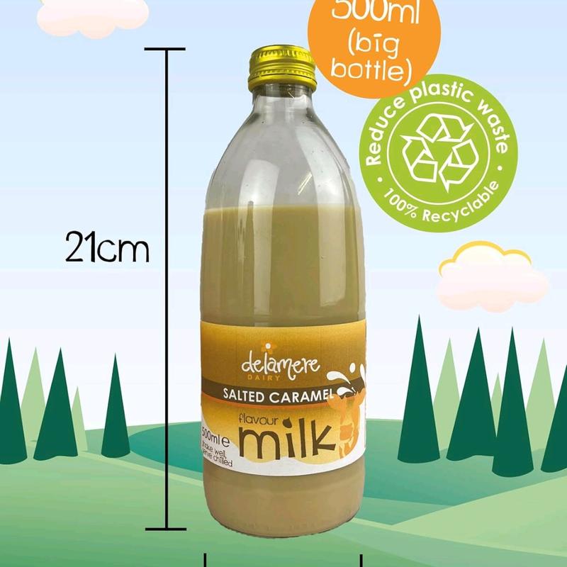 DELAMARE Flavoured Milk 500ml x 6 (6 Pack) - 6 Different Flavours Available - Milk flavoured Beverage 1
