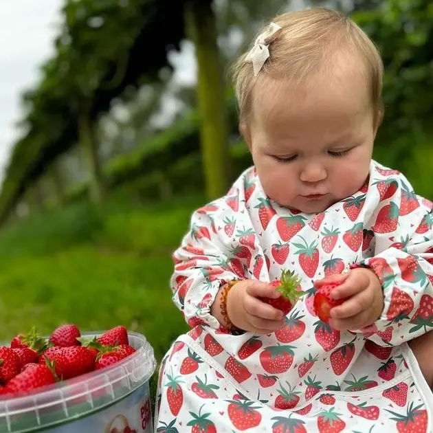 Exclusive Waterproof Cape Bib for Weaning and Messy Play Long Sleeve Matching Carry Bag Size 6m-2years BLW bibs feeding  cloth 5