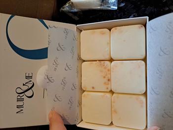 Product Review of Sea Salt & Sage Wax Melts from H**n S**t b** J**e 2