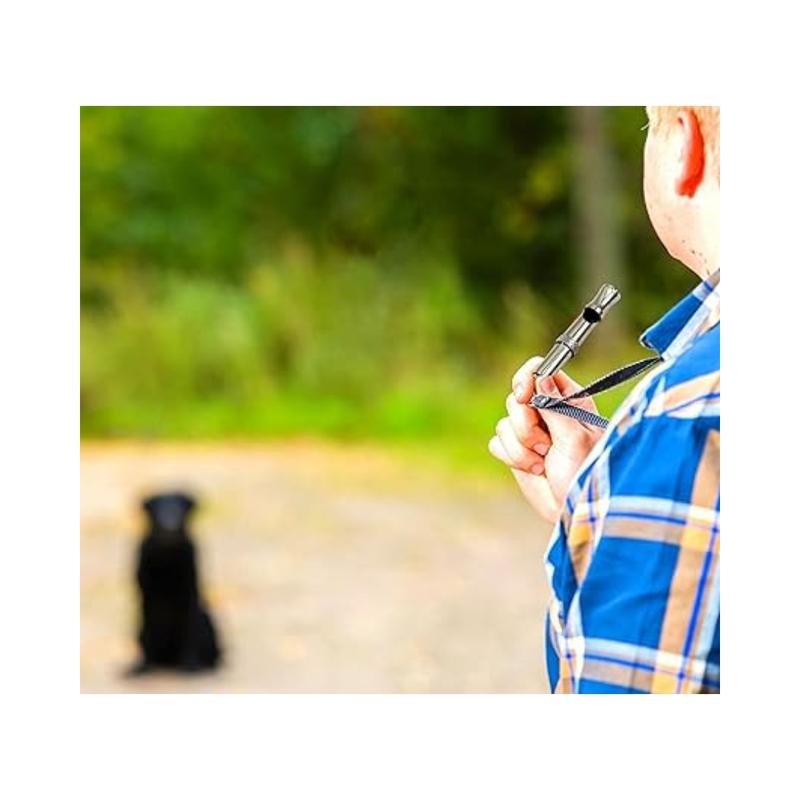 Dog Whistle Trainer, Recall, Stop Barking, Not Silent Pet Puppy Cat Training. 4