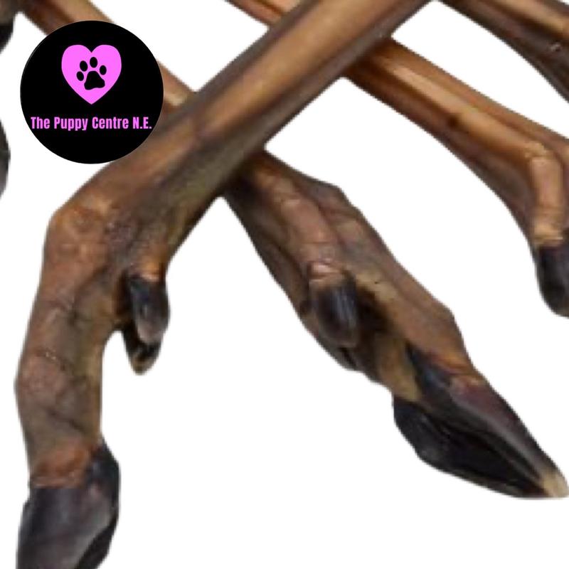 Roe Deer Leg Natural Dog Treat / Hairless / Dental Chew 2