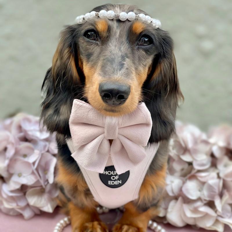 Pure Peony - Pink Velvet Sailor Bow Tie 1