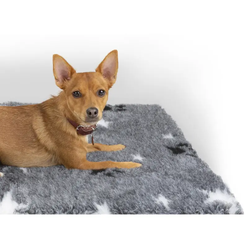 Pet Life - Vet Bed - Charcoal with Blue and White Paws 3