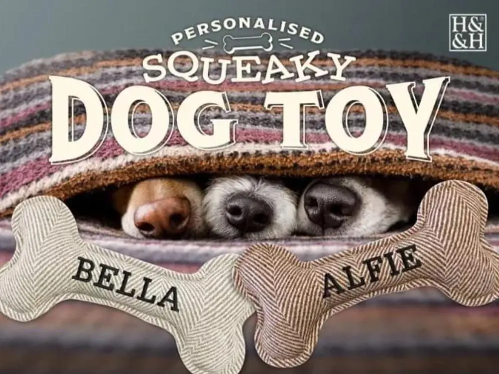 Personalised Plush Dog Bone Toy