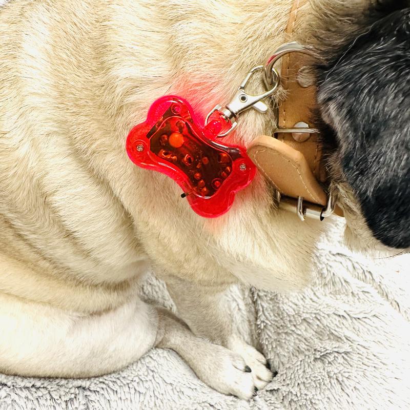 Hi Visibility LED Pet Safety Flasher Light - Collar Clip - Flashes with red light for dark nighttime dog walking visibility. Water resistant. 1
