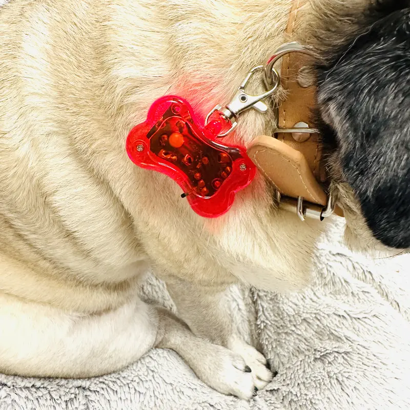 Hi Visibility LED Pet Safety Flasher Light - Collar Clip - Flashes with red light for dark nighttime dog walking visibility. Water resistant. 1