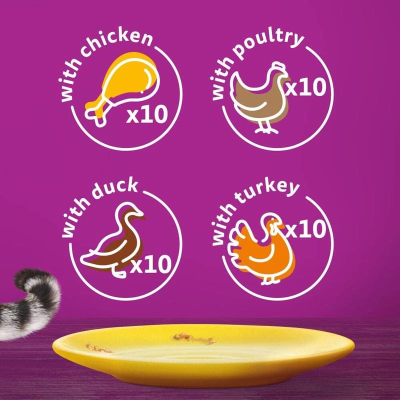 1+ Adult Poultry Selection in Jelly 40 Pouches, Adult Wet Cat Food, Megapack (40 x 85 g) 4