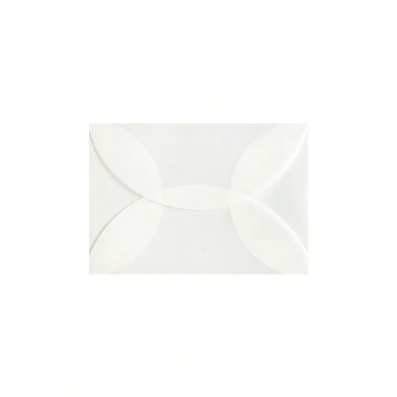 20pcs Rounded Edge Vellum Paper Envelopes, Semi-Transparent Frosted Thick Envelope Sleeves Back To School 3