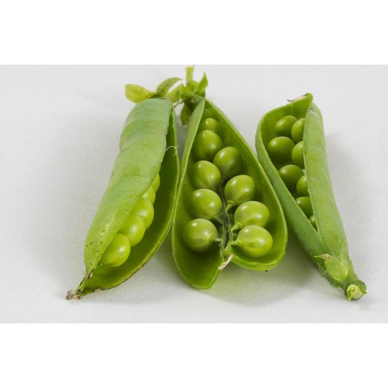 Pea Kelvedon Wonder Vegetable Seeds (Approx. 54 seeds) by Jamieson Brothers 1