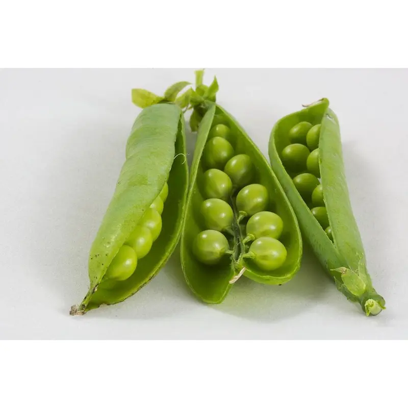 Pea Kelvedon Wonder Vegetable Seeds (Approx. 54 seeds) by Jamieson Brothers 1