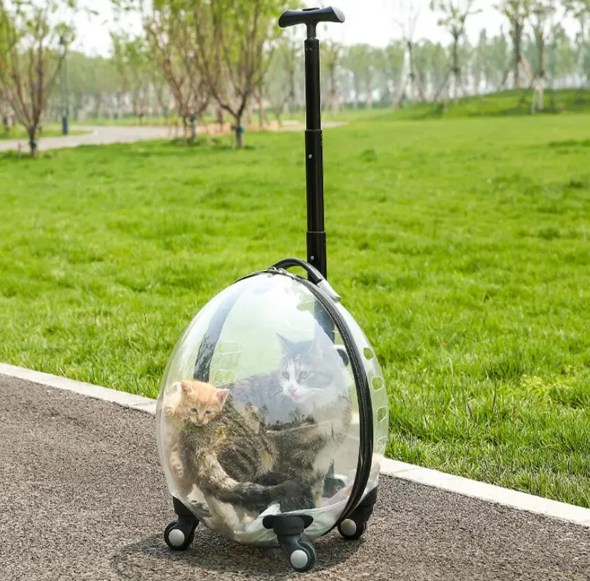 Pet Transporter Travel Carrier Box – Safe & Comfortable for Cats, Dogs, & Puppies!