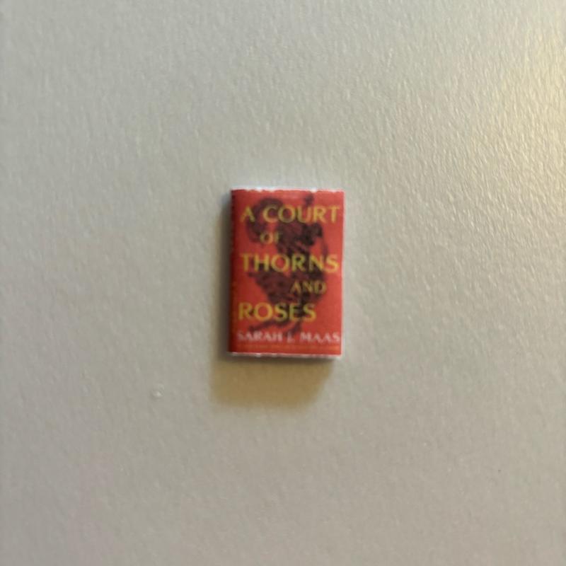 ACOTAR Mini Books - Perfect for TBR Jars - 1/12 Size book accessories 1
