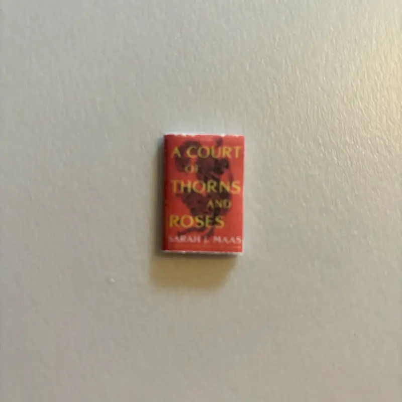 ACOTAR Mini Books - Perfect for TBR Jars - 1/12 Size book accessories 1