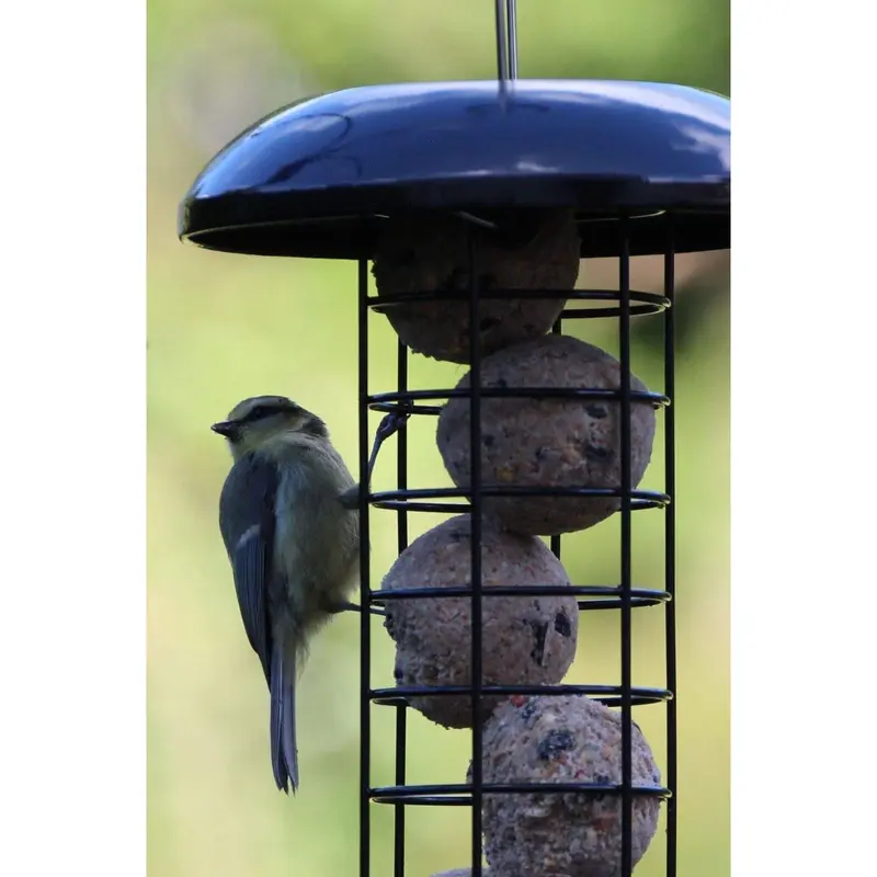 Henry Bell Heavy Duty Fat Ball Feeder Black 1