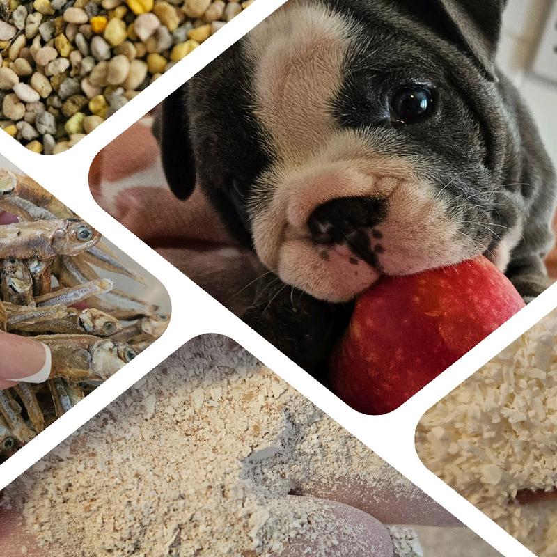 Breakfast Supplement Dog Food Topper 1