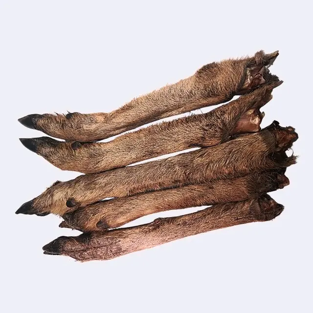 Hairy Roe Deer Leg 0