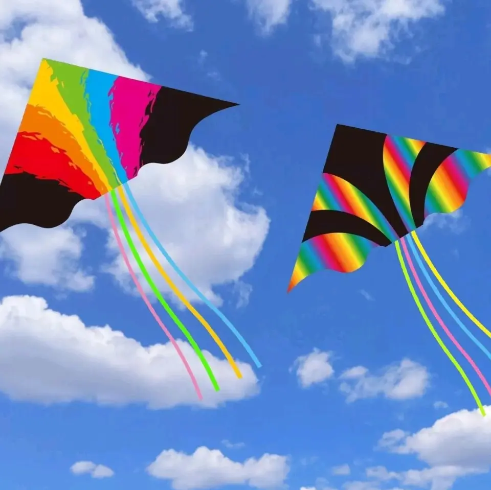 Single Line Rainbow Kite With Long Tail 140 x 70cm