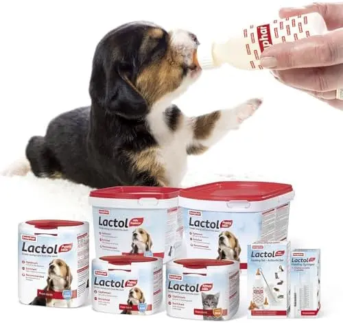 Puppy Kitten Milk Beaphar Lactol Milk Replacer Powder Vitamin Formula 250g-1kg 1