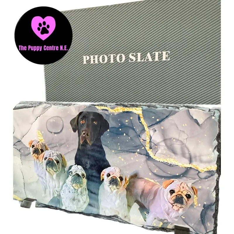 Custom Slate Photo Tile + Mothers Day + Dog Owner Gift + Pet Pictures + Rectangle 22cm x 12 cm with Gift Box 2