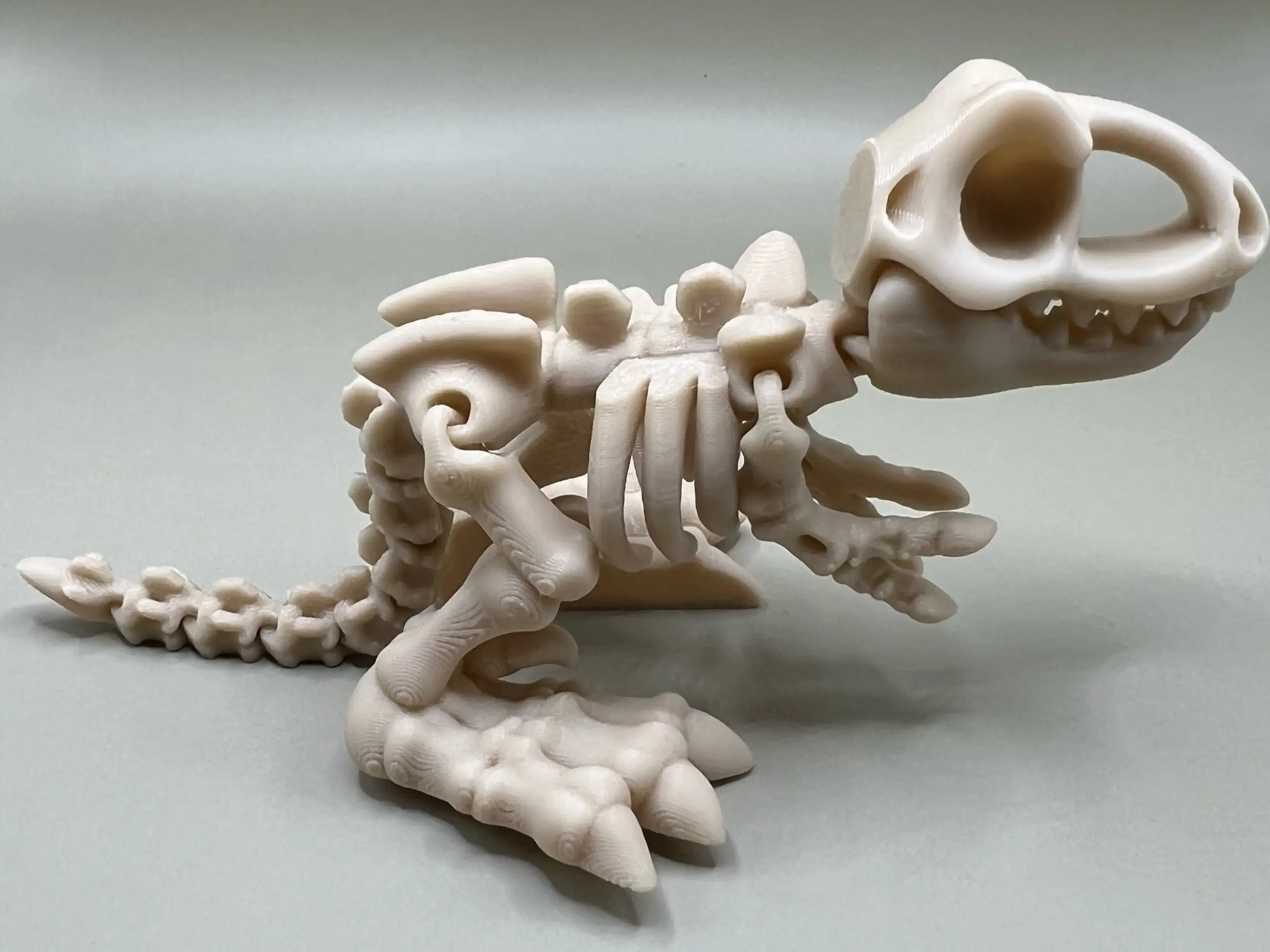 Flexi Fidget Cute Baby T-Rex Tyrannosaurus 3D Printed Model Gift articulated Great for Party bags available as keyring