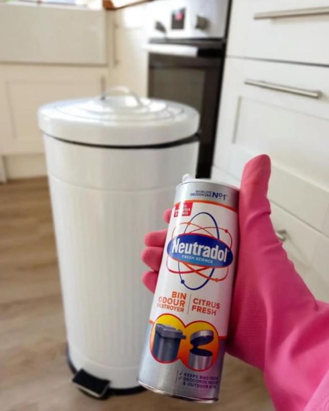 Neutradol Dust Bin Freshener Odour Destroyer Powder Citrus Fresh Fragrance 350g 4