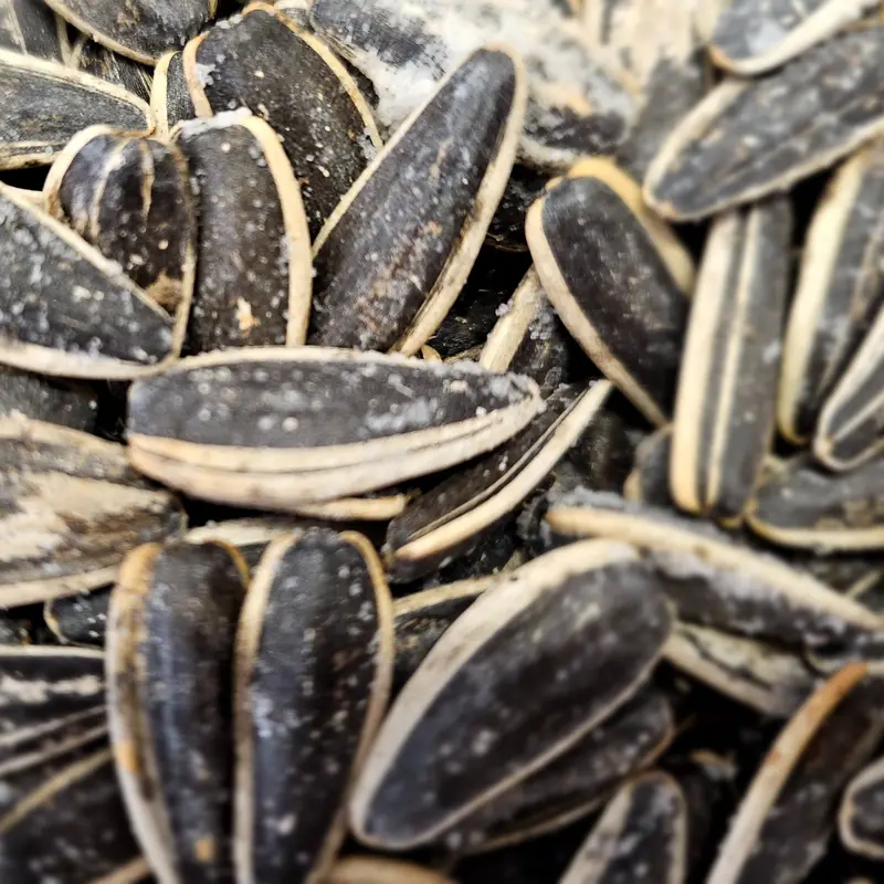 Sunflower Seeds 0