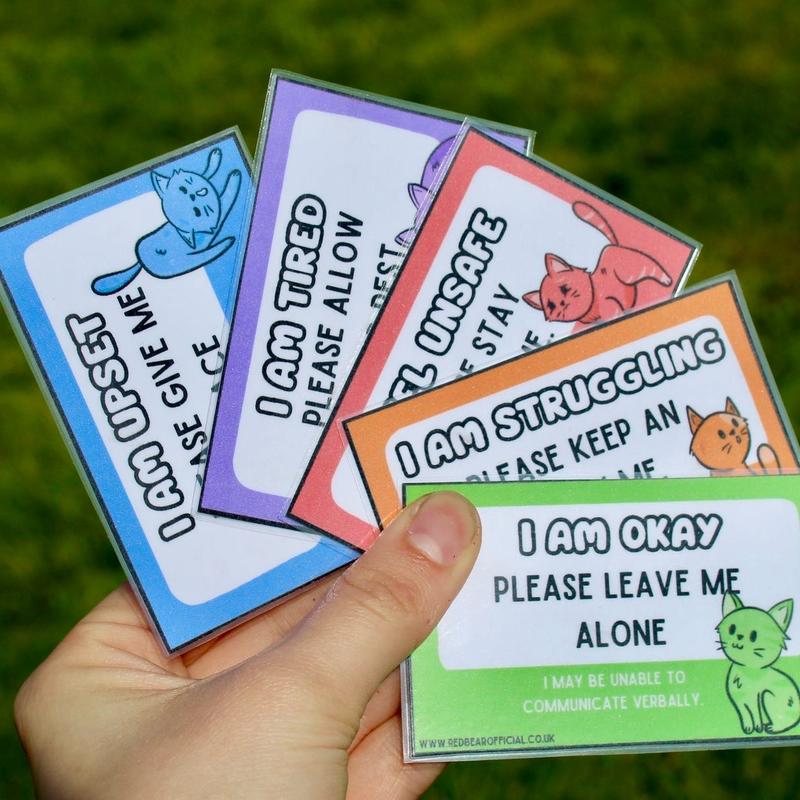 Rainbow cat communication cards | traffic light set | offer me a seat | hidden disability | chronic pain 4